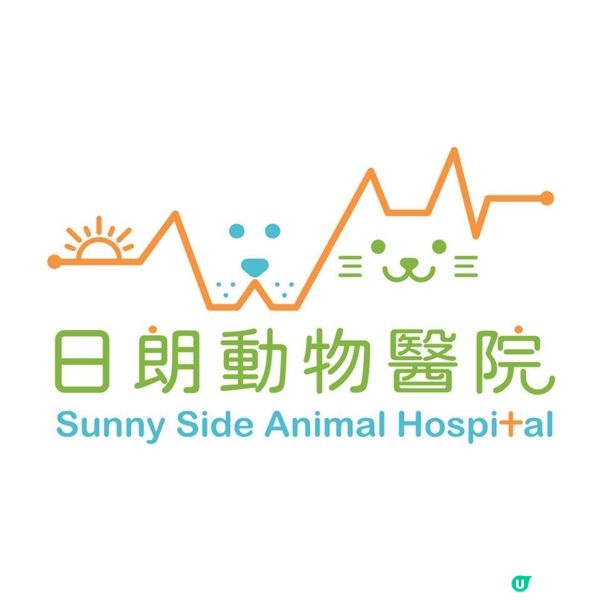 動物醫院 | 香港專業獸醫護理 | Animal Hospital