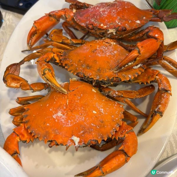 📍屯門三聖村 🍄冬菇亭海鮮大牌檔🦀🦐