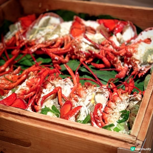 東瀛風味之旅@cafe Too