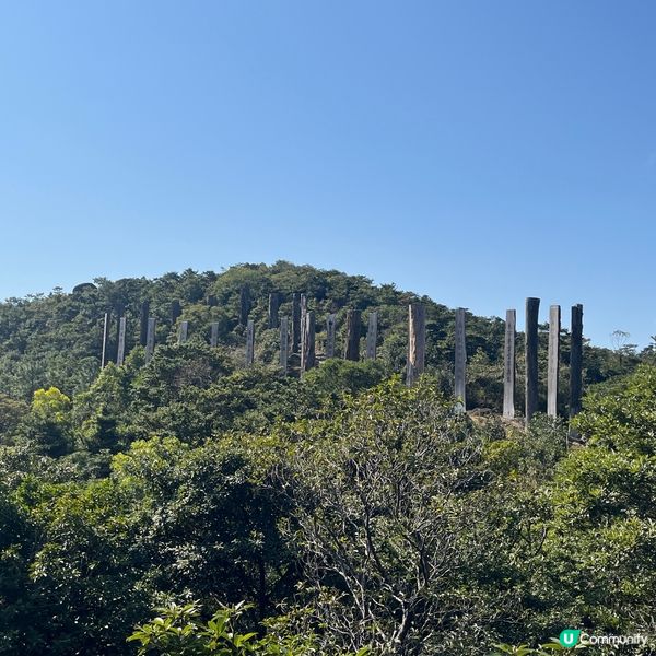 行山新手輕鬆行路線✨落山經過天壇大佛🙌🏻再食埋馳名豆腐花😋