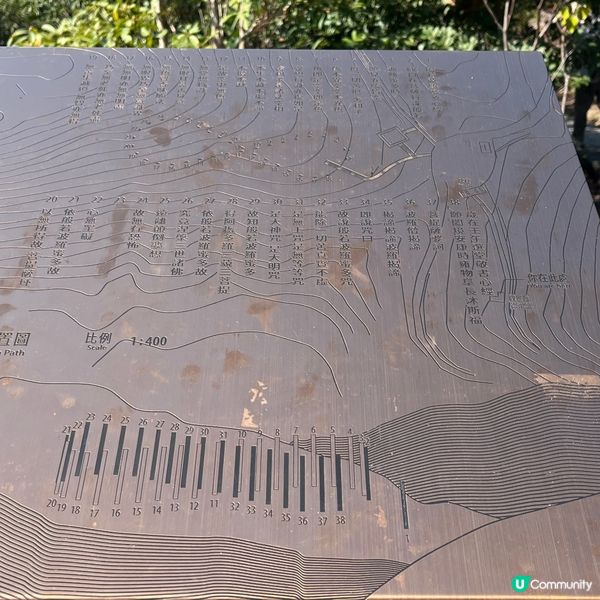 行山新手輕鬆行路線✨落山經過天壇大佛🙌🏻再食埋馳名豆腐花😋