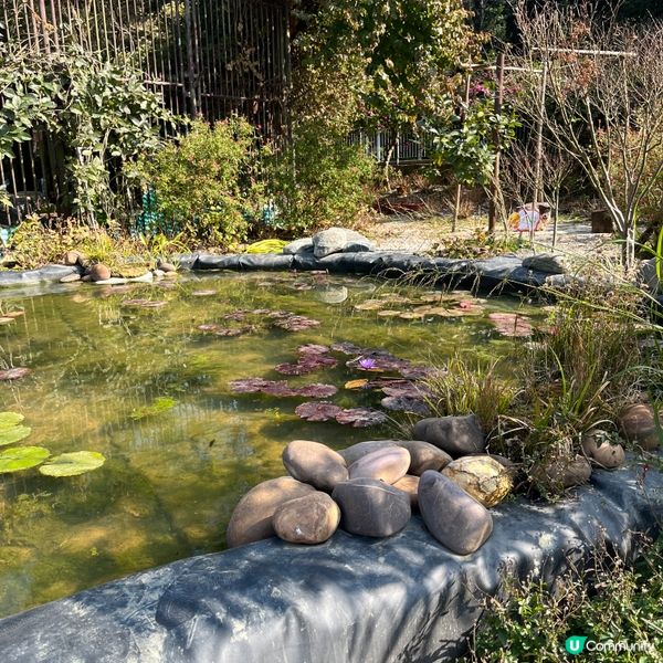 行山新手輕鬆行路線✨落山經過天壇大佛🙌🏻再食埋馳名豆腐花😋