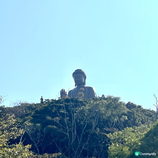 行山新手輕鬆行路線✨落山經過天壇大佛🙌🏻再食埋馳名豆腐花😋