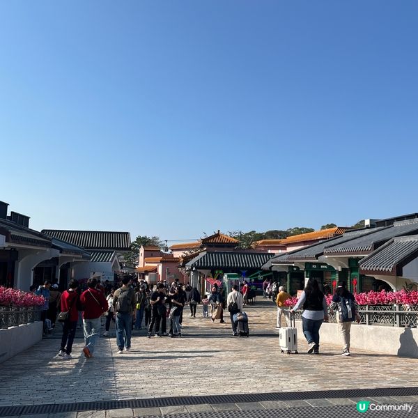 行山新手輕鬆行路線✨落山經過天壇大佛🙌🏻再食埋馳名豆腐花😋