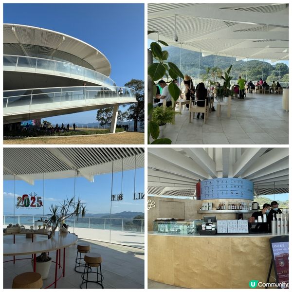 深圳格桑花海🌸  蓮塘口岸半小時直達！