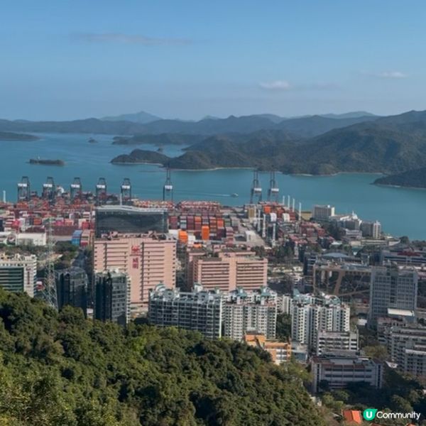 深圳格桑花海🌸  蓮塘口岸半小時直達！