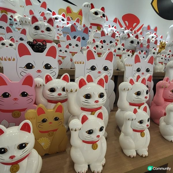 港版豪德寺🐱招財貓打卡牆