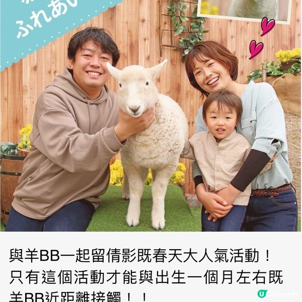 可愛羊BB🐑慶生祭🎂