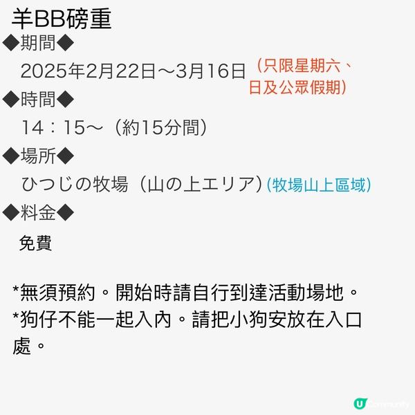 可愛羊BB🐑慶生祭🎂