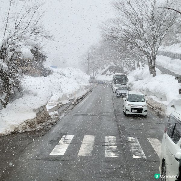 ❄️ 遇上警報級大雪之白川鄉 ❄️