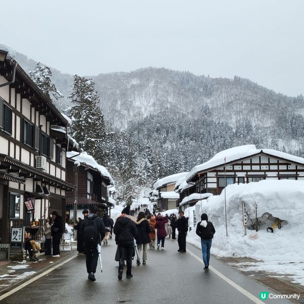 ❄️ 遇上警報級大雪之白川鄉 ❄️