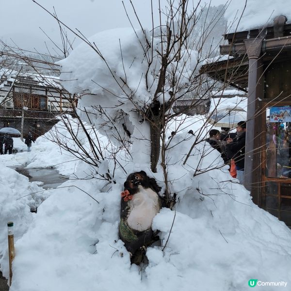 ❄️ 遇上警報級大雪之白川鄉 ❄️