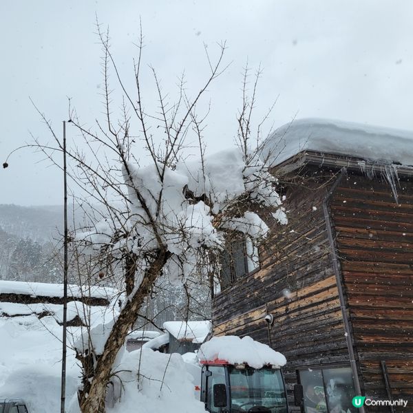 ❄️ 遇上警報級大雪之白川鄉 ❄️