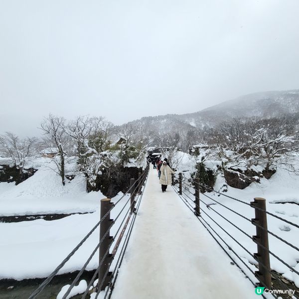 ❄️ 遇上警報級大雪之白川鄉 ❄️