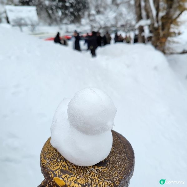 ❄️ 遇上警報級大雪之白川鄉 ❄️