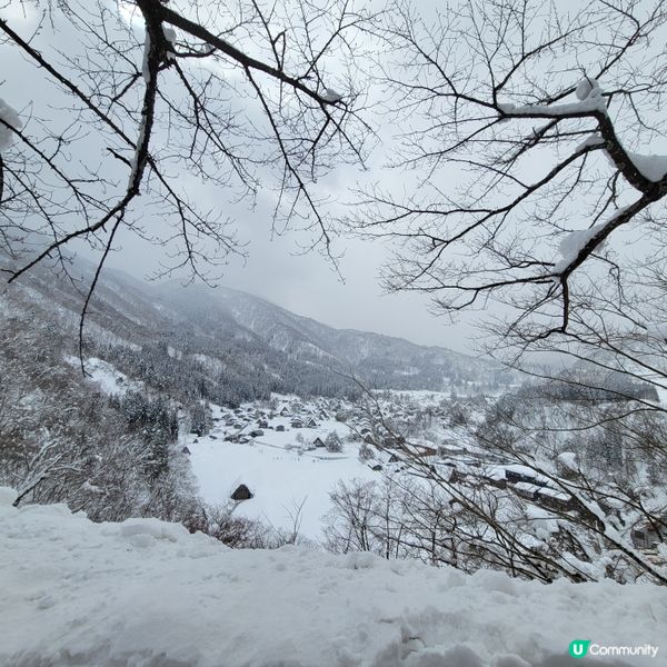 ❄️ 遇上警報級大雪之白川鄉 ❄️