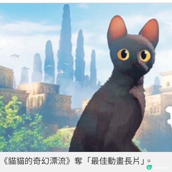 13項提名艾美利亞變奏曲大熱倒灶阿諾拉反思美國夢奪最佳電影