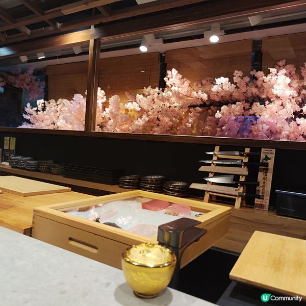 全港唯一櫻花極美雪景Omakase 🧑🏻‍🍳