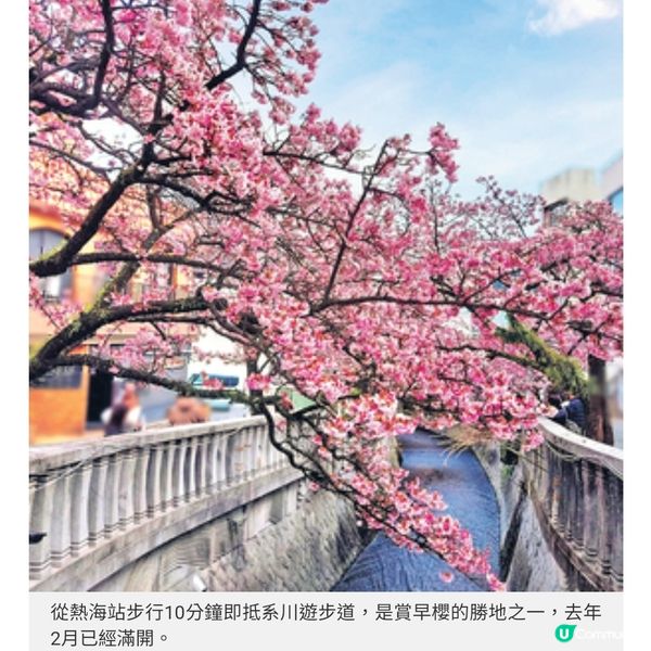 人生必看美景之一熱海花火大會2025攻略