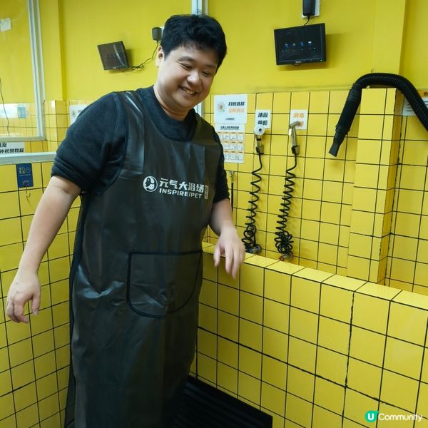 帶上😸豆豆去體驗一下24小時自助洗澡