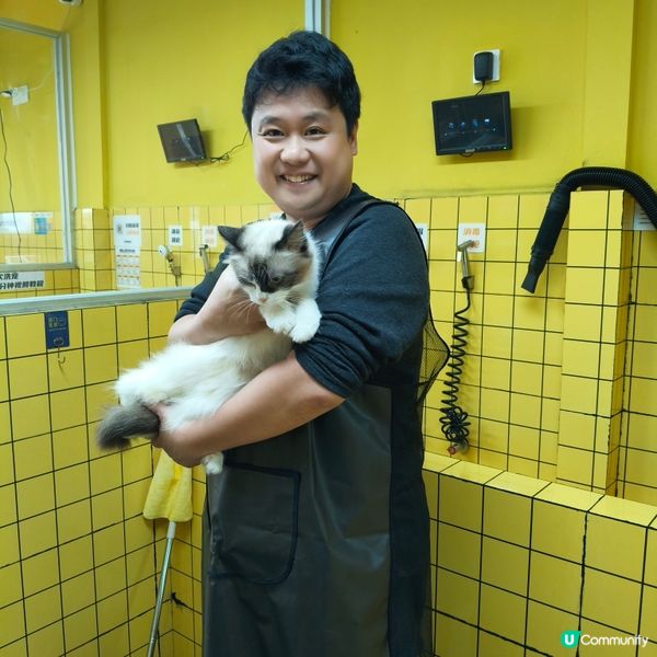 帶上😸豆豆去體驗一下24小時自助洗澡