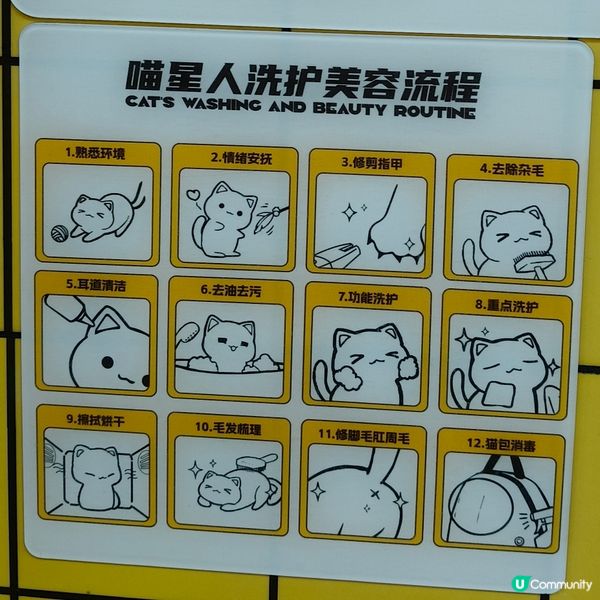 帶上😸豆豆去體驗一下24小時自助洗澡