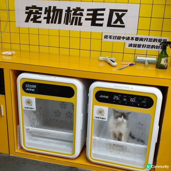 帶上😸豆豆去體驗一下24小時自助洗澡