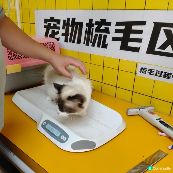 帶上😸豆豆去體驗一下24小時自助洗澡