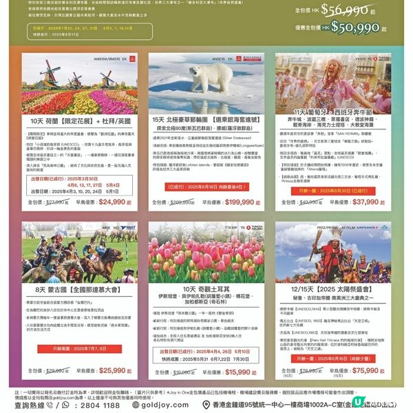 金怡假期 非洲動物大遷徙