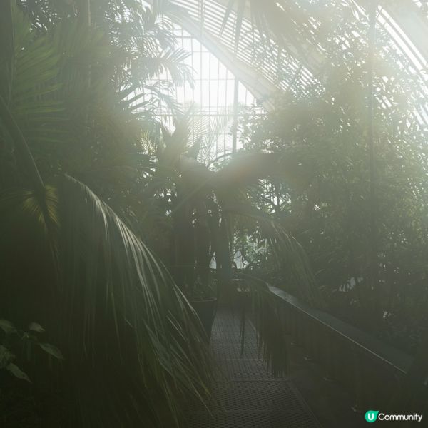 英國倫敦特色景點 之 邱園拍照、打卡點