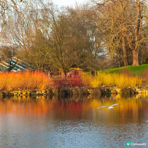英國倫敦特色景點 之 邱園拍照、打卡點