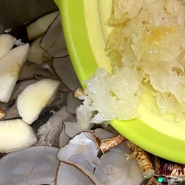 海底椰五指毛桃蘋果湯

