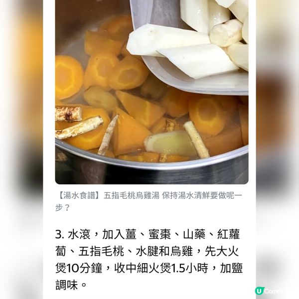 五指毛桃烏雞湯

