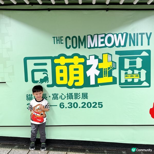 中環貓店長展覽🐱  
愛貓之人必到！