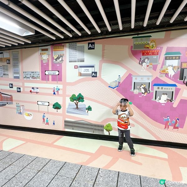 中環貓店長展覽🐱  
愛貓之人必到！