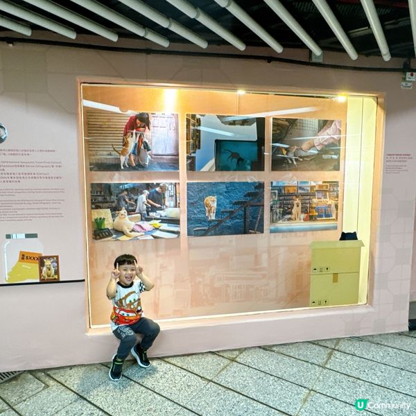 中環貓店長展覽🐱  
愛貓之人必到！