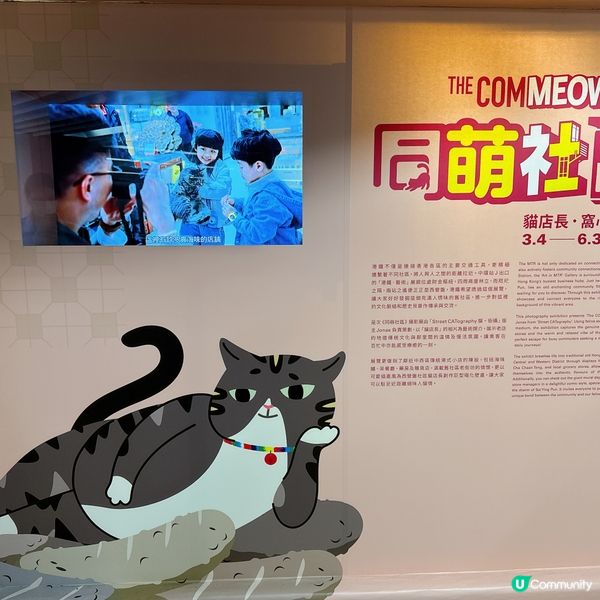 中環貓店長展覽🐱  
愛貓之人必到！