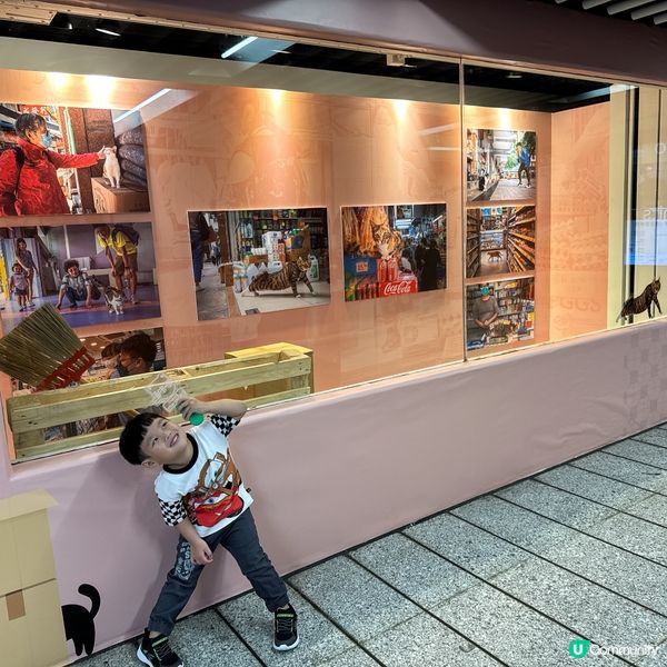 中環貓店長展覽🐱  
愛貓之人必到！