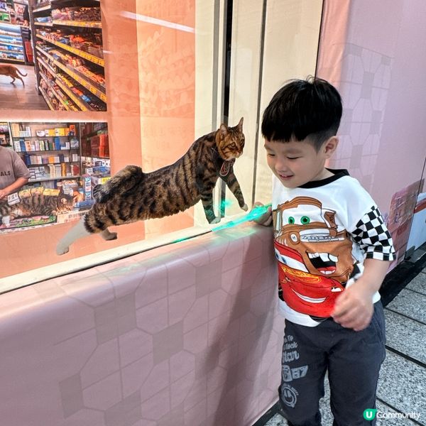 中環貓店長展覽🐱  
愛貓之人必到！