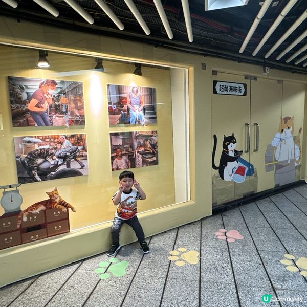 中環貓店長展覽🐱  
愛貓之人必到！