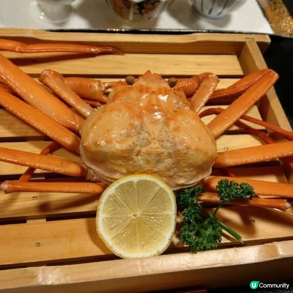 新潟寺泊漁市場🦀 食海鮮，住溫泉，慢活冬日之旅！