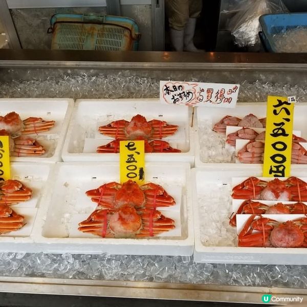 新潟寺泊漁市場🦀 食海鮮，住溫泉，慢活冬日之旅！