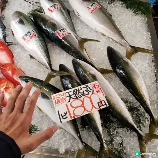 新潟寺泊漁市場🦀 食海鮮，住溫泉，慢活冬日之旅！