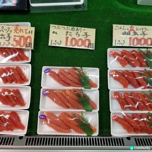 新潟寺泊漁市場🦀 食海鮮，住溫泉，慢活冬日之旅！