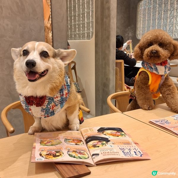 🍲 臭臭鍋，香港人嘅新寵兒！