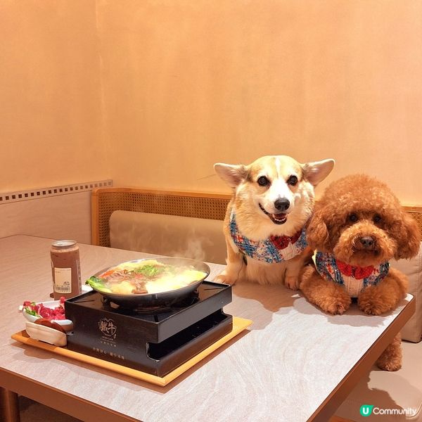 🍲 臭臭鍋，香港人嘅新寵兒！