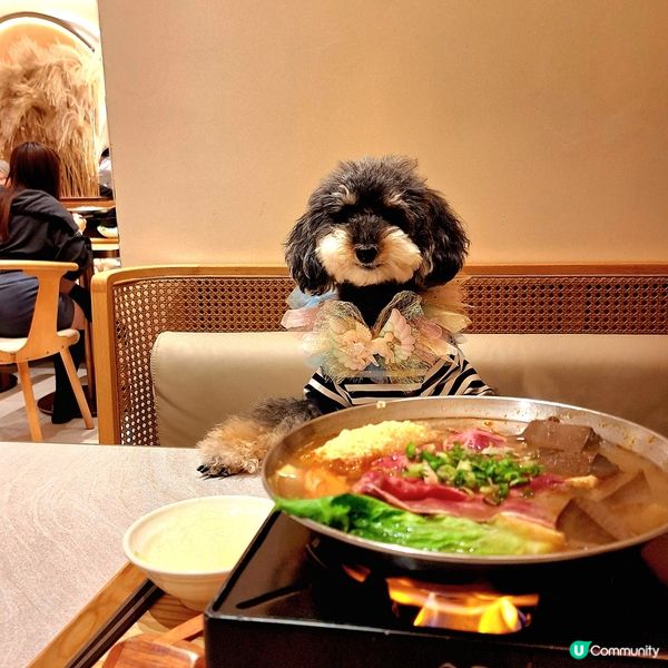 🍲 臭臭鍋，香港人嘅新寵兒！