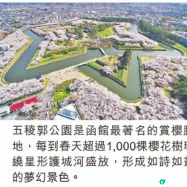 金怡假期 公主郵輪鑽石公主號日韓賞櫻之旅