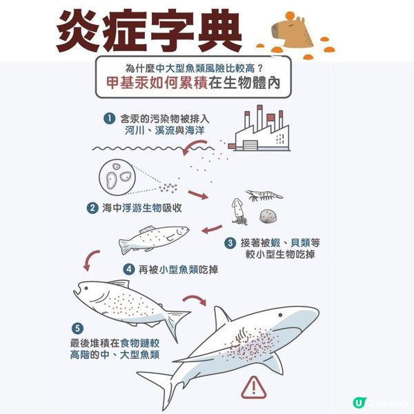 飲魚湯補身？孕婦、小朋友千祈咪飲！