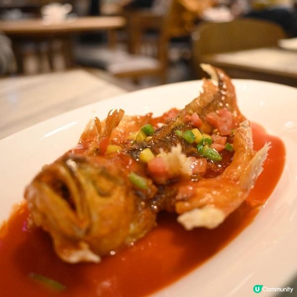 高質鑽石山福建菜